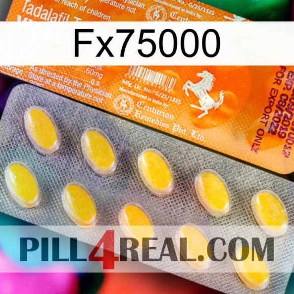 Fx75000 new05